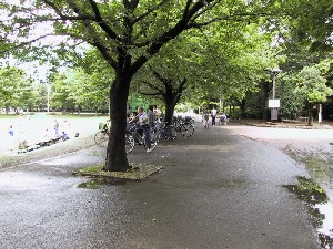 �싅��e�x���`