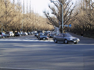 �����傤����