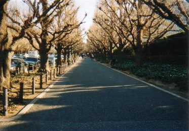 �����傤���ؕ���