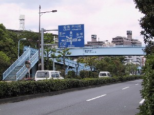 �V���������