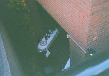 ���X�g�����g�E�q��