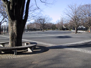 �B�e��������