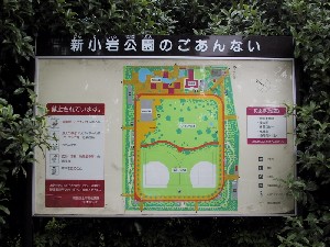 �V��������Ŕ�