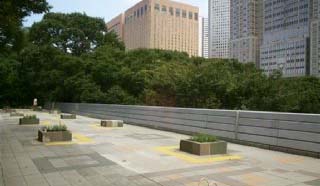 �V�h���������勴