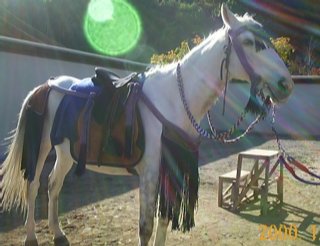 �]�h�����̋��E���n