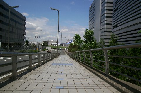 �H�c��`�̋�