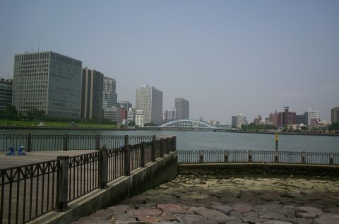 �ΐ쓇����