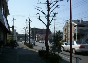 �}���V��������