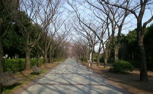 ���ؓ�����