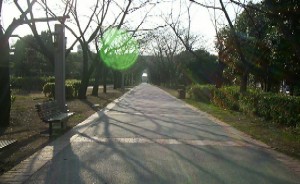 ���ؐ�����