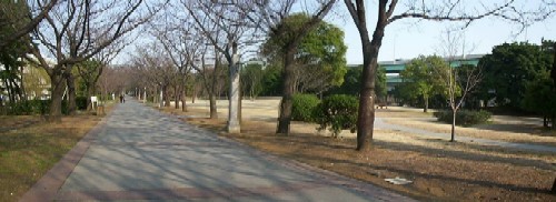 ���ؓ���������