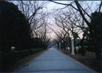 �[���̕���