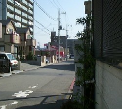 �Ă���������