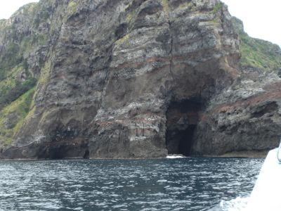 ���Â̊≮����