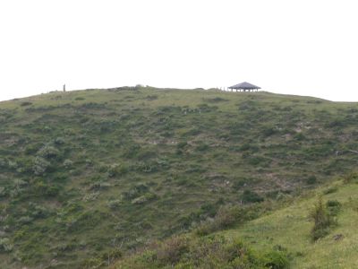 ���V�R���������