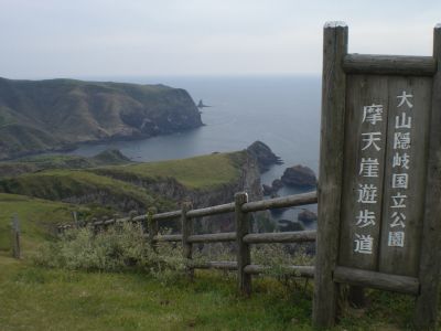 ���V�R�V������