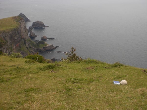 ��l�̍s���~�܂�