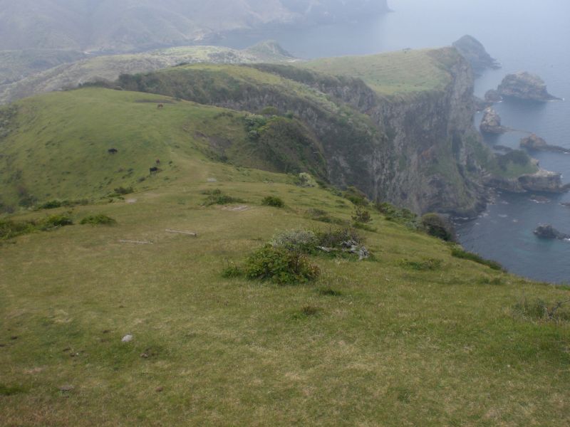 ���C�L���O�ʐ^