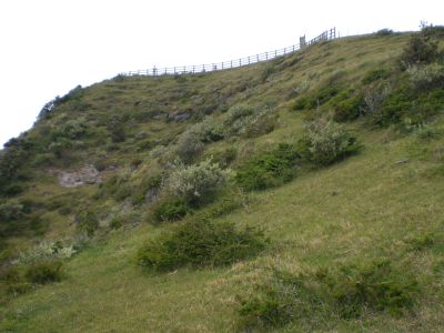 �N�����N�A�b�v