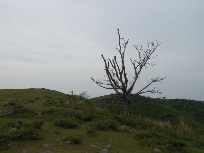 �W�[�v�̏ꏊ