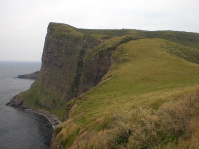 ���V�R���������