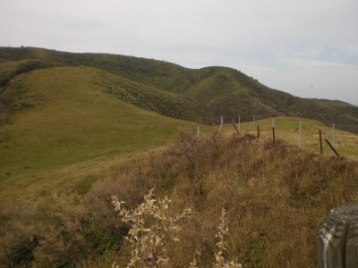 ���V�R���ォ��E�փ^�[��