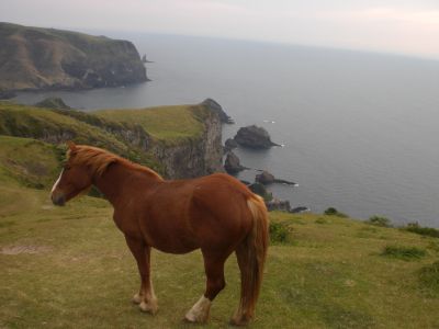 ���n����