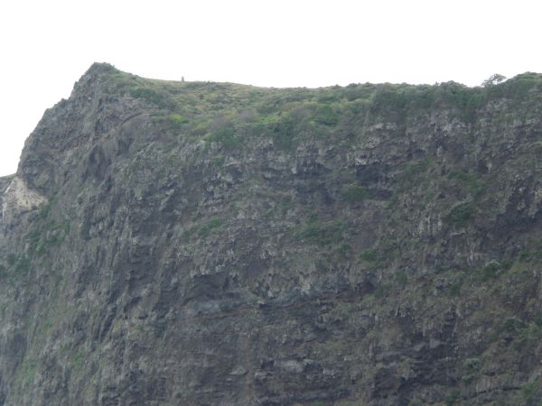 ���V�R�i�C��j