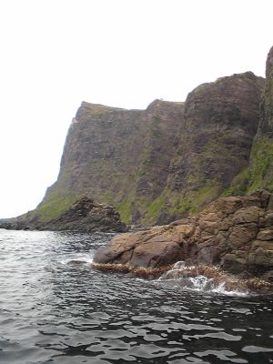 ���V�R�i�C��j2