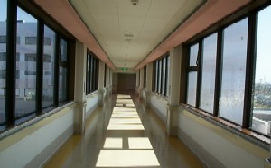 �n��L��������