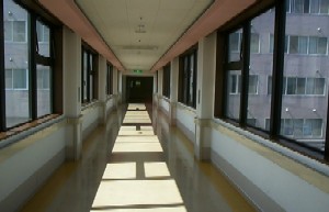 �n��L��������