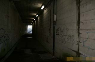 ���n��n����