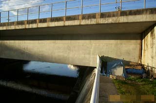 ���n�썂�R����