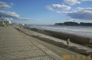 �Ó�C�݌���