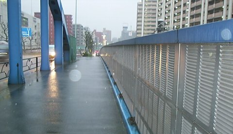 ���c����