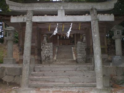 ����_�В���