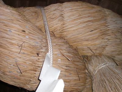 ����_�Ђ��ߓ�