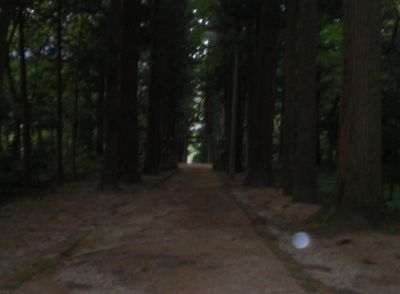 ����_�ЎQ��