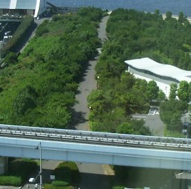 �z�e������