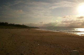 �[���K�Y�̐e�q