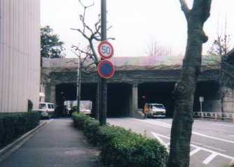 �r�N�^�[���`�g���l��